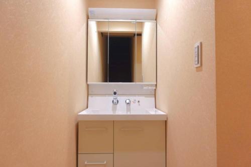 京都ALOHADAYS Kyoto的浴室设有白色水槽和镜子