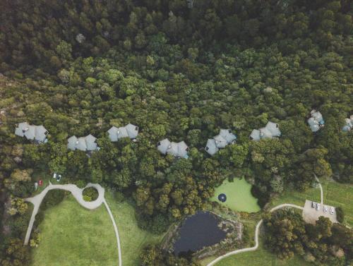 普利登堡湾特萨拉璀图普旅舍的森林的顶部景观,带池塘