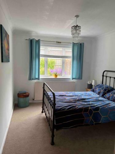 布莱顿霍夫2 Bed Retreat with amazing Sea Views in Brighton的一间卧室配有床和蓝色窗帘的窗户
