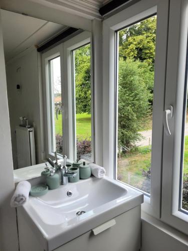 弗朗科尔尚La Maison des Roses的一间带水槽和窗户的浴室