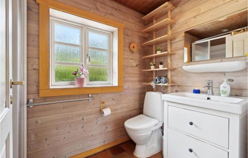 KølkærCozy Home In Herning With Kitchen的一间带卫生间、水槽和窗户的浴室