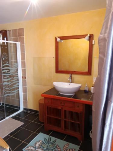 桑塞尔Maison au coeur de Sancerre le N°7的一间带水槽和镜子的浴室