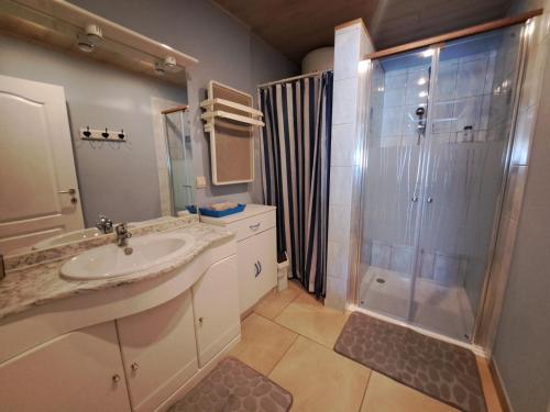 洛布Gîte de l'Entreville的带淋浴、盥洗盆和镜子的浴室