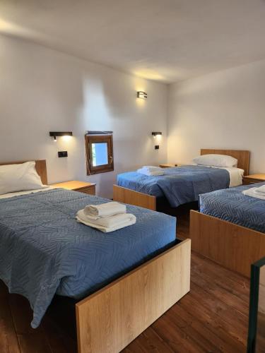 迈伊斯蒂Kastello的客房设有两张带蓝色床单和镜子的床。