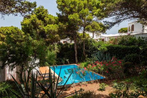 卡拉莫若尔Villa Menorca Ses Roques Vermelles by Mauter Villas的花园中种有树木和鲜花的游泳池