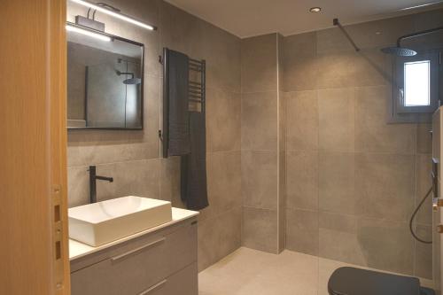 蒂加基Philippos & Alexandros Apartments的一间带水槽、镜子和淋浴的浴室