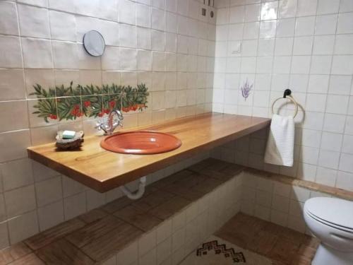 圣特奥托纽Monte Alentejano ideal para relaxar na natureza的一间带木制水槽和卫生间的浴室