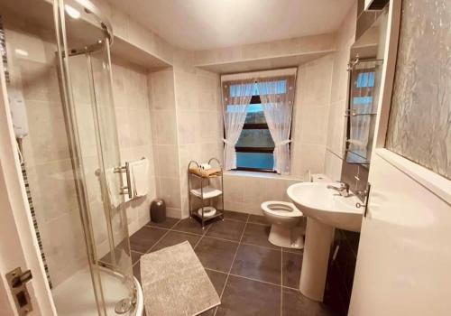 CloghanReelin bar holiday Accommodation的带淋浴、卫生间和盥洗盆的浴室