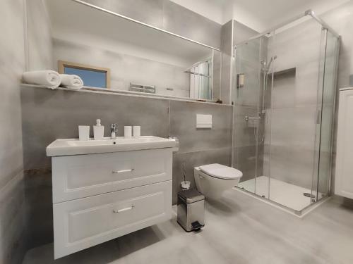 克拉斯纳利帕Apartmány Goliáš的带淋浴、盥洗盆和卫生间的浴室