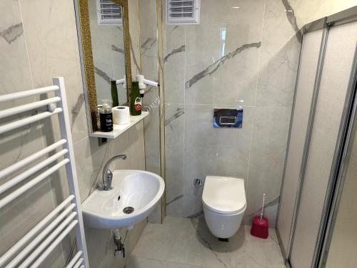 内夫谢希尔THE SUİT Residence的白色的浴室设有水槽和卫生间。