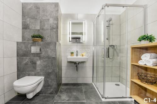 伏尔塔瓦河畔利普诺KORZO LIPNO C的带淋浴、卫生间和盥洗盆的浴室