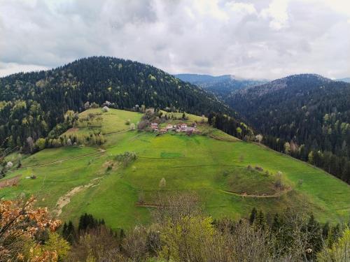 Zlatarska Studenica鸟瞰图