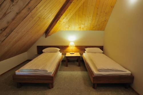 ŽabičiūnaiVasaknų dvaras的客房设有两张床和一张带台灯的桌子。