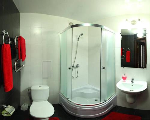 尼古拉耶夫Студия и отдельная спальня в Центре的带淋浴、卫生间和盥洗盆的浴室