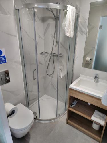 伦敦Homefield Lodge的带淋浴、卫生间和盥洗盆的浴室