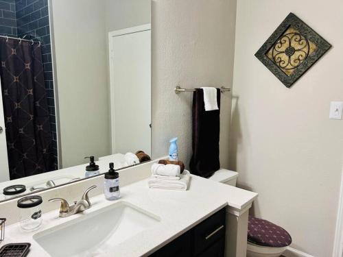 休斯顿Modern Gem: 2BD/2BA Oasis in Shadowbriar, Houston!的一间带水槽、卫生间和镜子的浴室