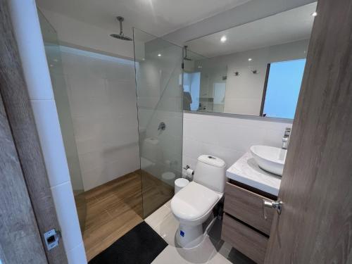 里考尔特Casa Privada en Exclusivo Club Privado的浴室配有卫生间、盥洗盆和淋浴。