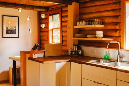 FernwoodBodega Ridge & Cove Cabins的厨房设有木墙和水槽