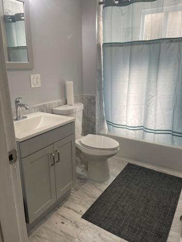 波士顿Boston Luxury 2 Bedroom Private Condo的浴室配有卫生间、盥洗盆和淋浴。