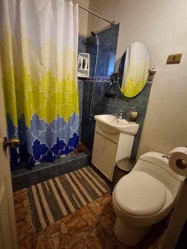 圣佩德罗·德·阿塔卡马Cabañas La Marca的一间带卫生间和淋浴帘的浴室
