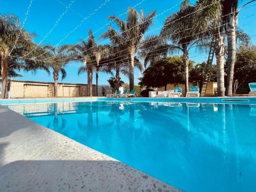 巴塞罗纳-波佐戈托Borgo Camicia In的一座棕榈树环绕的游泳池