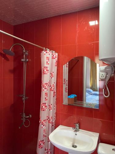 乌雷基Hotel Aurora的红色的浴室设有水槽和淋浴