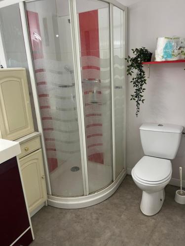 Saint-Jean-sur-MayennePetite maison sympa的带淋浴和白色卫生间的浴室