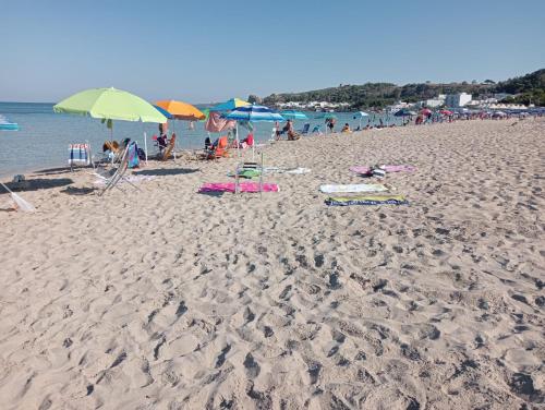 帕拉比塔Maison Chèrie的海滩上摆放着椅子和遮阳伞,还有人