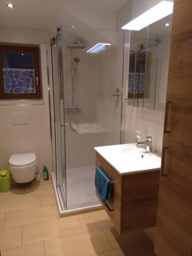 Brandenberg胡波纳公寓的带淋浴、盥洗盆和卫生间的浴室