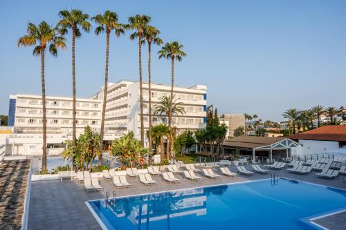 圣蓬萨环球圣塔波萨公园酒店的棕榈树酒店和游泳池