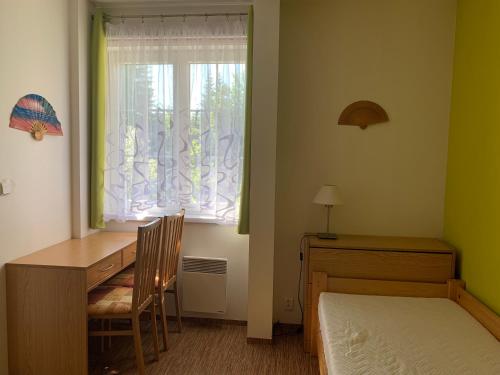 卡尔洛夫Karlov pod Pradědem Apartmány Orbit的一间卧室配有书桌、床和窗户。