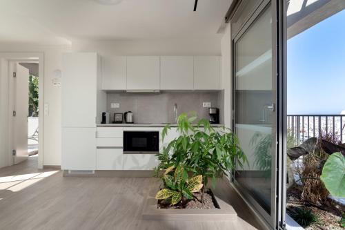 雅典Athens Hill Luxury Apartments的厨房配有白色橱柜和盆栽植物