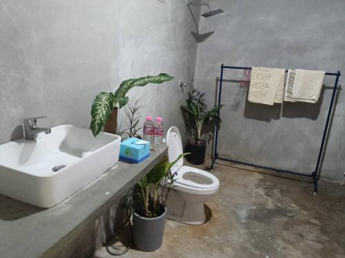 Phumĭ Puŏk ChăsHappy Homestay - Local Vibe的浴室配有水槽、卫生间和植物