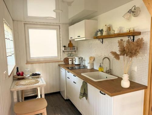 里加Oak Heart, Lucavsalas namiņš的一个带水槽和窗户的小厨房