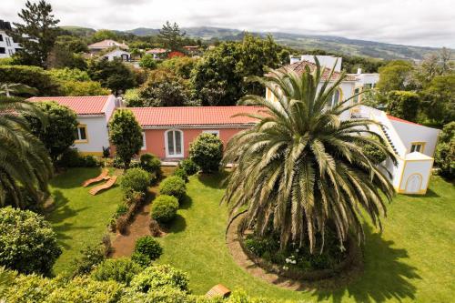蓬塔德尔加达Azores Green Villas的棕榈树房屋的空中景致