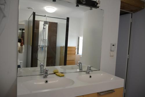 Assaygite en touraine climatise的一间带水槽和镜子的浴室