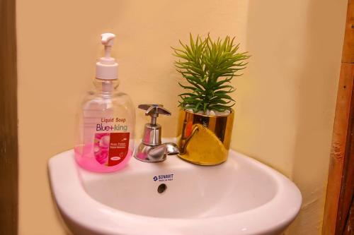 尼耶利Jaymorgan' cabins的浴室水槽,内有一瓶肥皂和植物
