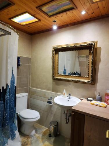 吉诺卡斯特Guest House Seferi Ξενωνας Σεφερη的一间带卫生间、水槽和镜子的浴室