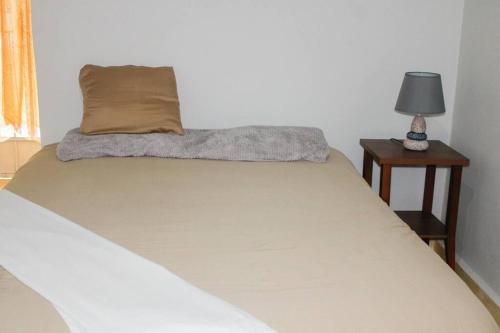 科马亚瓜Confortable y céntrico的一张带枕头的床和一张桌子上的台灯