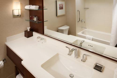密尔沃基密尔沃基市中心万豪酒店的一间带水槽和大镜子的浴室