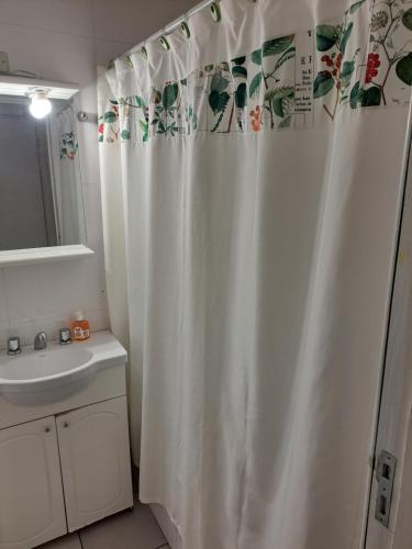 门多萨Apartamento centrico amueblado的浴室配有淋浴帘和盥洗盆。
