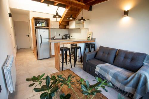 圣卡洛斯-德巴里洛切Studio Los Manzanos的带沙发的客厅和厨房