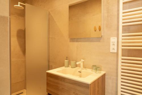 HulshoutDe Gulle Beemden的浴室配有白色水槽和淋浴。