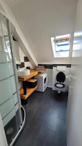 特雷沃 - 特雷吉涅克Studio TRESTEL vue mer的一间带卫生间和水槽的小浴室
