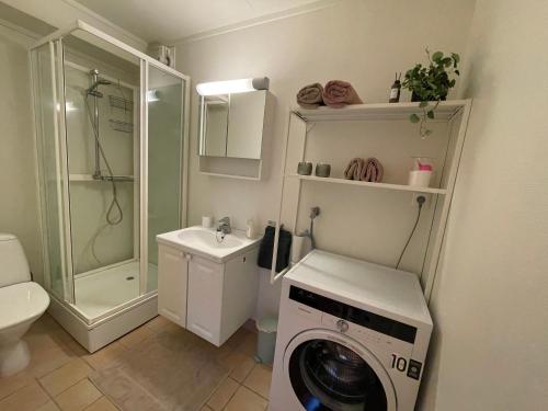 斯沃尔韦尔City Svolvær的一间带洗衣机和水槽的浴室
