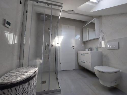 锡尼Apartment Loft的带淋浴、卫生间和盥洗盆的浴室