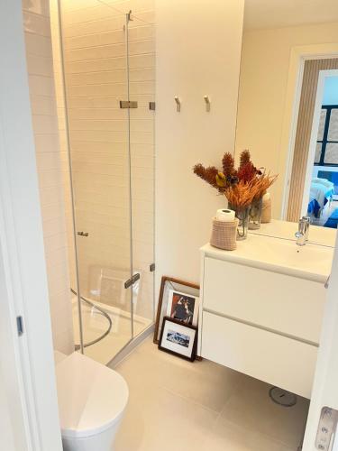 塔维拉Picasso Apartament的带淋浴、卫生间和盥洗盆的浴室