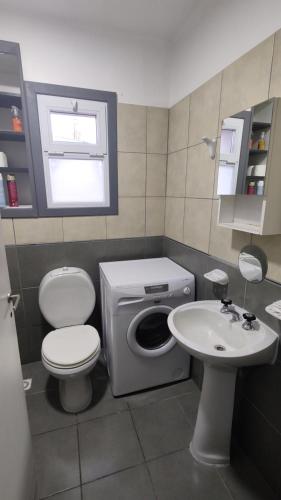 乌斯怀亚Departamento Yekamush 3 Ushuaia的一间带卫生间和水槽的小浴室