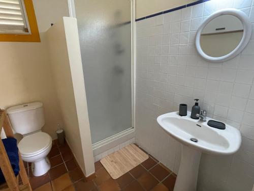勒迪亚芒Villa La Tapatia的浴室配有卫生间、盥洗盆和淋浴。