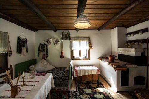 瓦马Bucovina Lodge Pension的一间房间,房间内设有两张桌子和一扇窗户